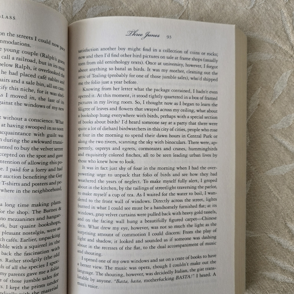 Three Junes By Julia Glass National Bestseller Paperback Book - Picture 8 of 9